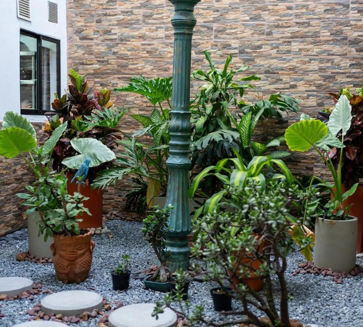 Casa Laurel Hospedaje Boutique Alojamiento Completo Medellín Villa